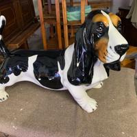 Basset hound