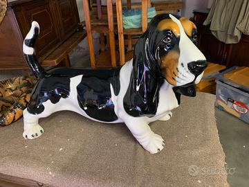 Basset hound