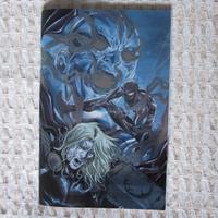 SpiderMan Spider-Man il Vendicatore 17 Variant