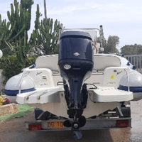 Marlin 16 completo di motore mercury