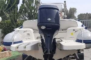 Marlin 16 completo di motore mercury