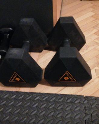Coppia di manubri Domyos da 15 kg