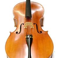 violoncello