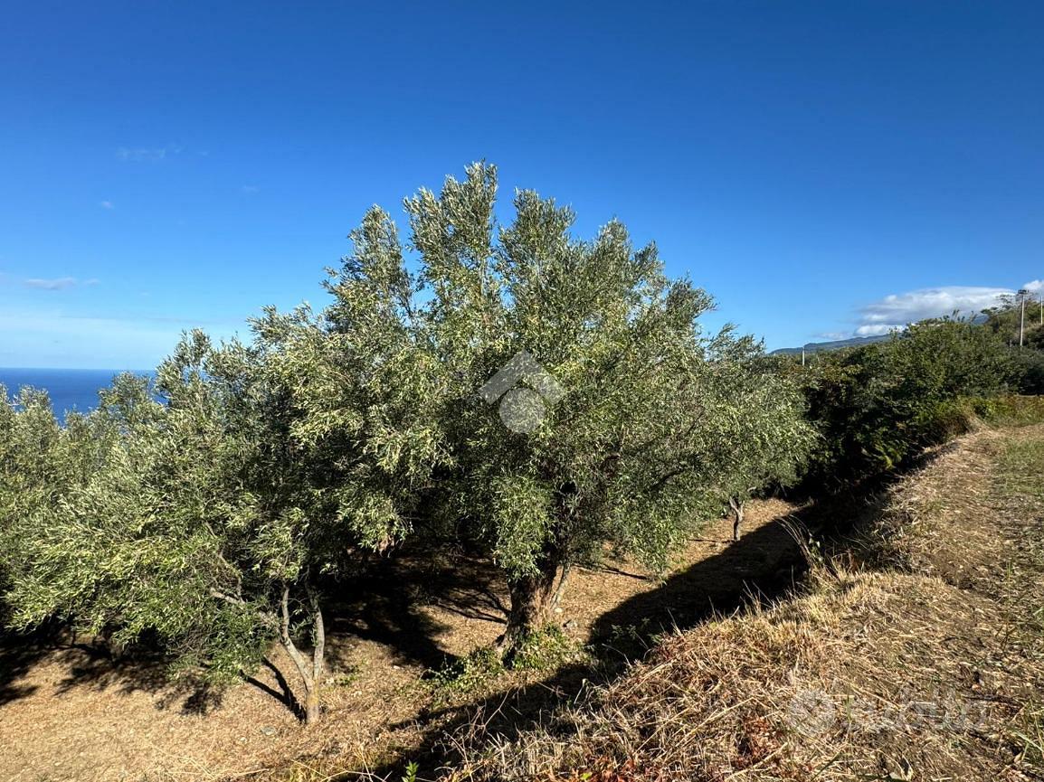 TER. AGRICOLO A AMANTEA - Vista 4