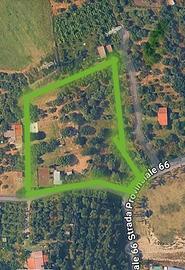 Terreno agricolo, uliveto