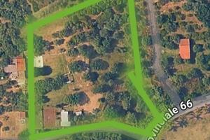Terreno agricolo, uliveto