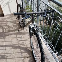 bici mtb