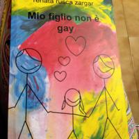 Mio figlio non è gay