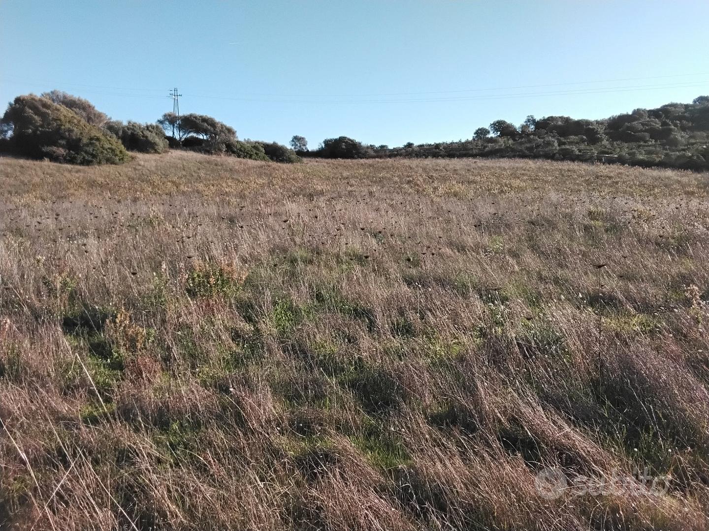 Terreno in Arzachena ( Olbia tempio) - Vista 2