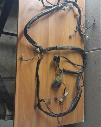 Impianto elettrico F12