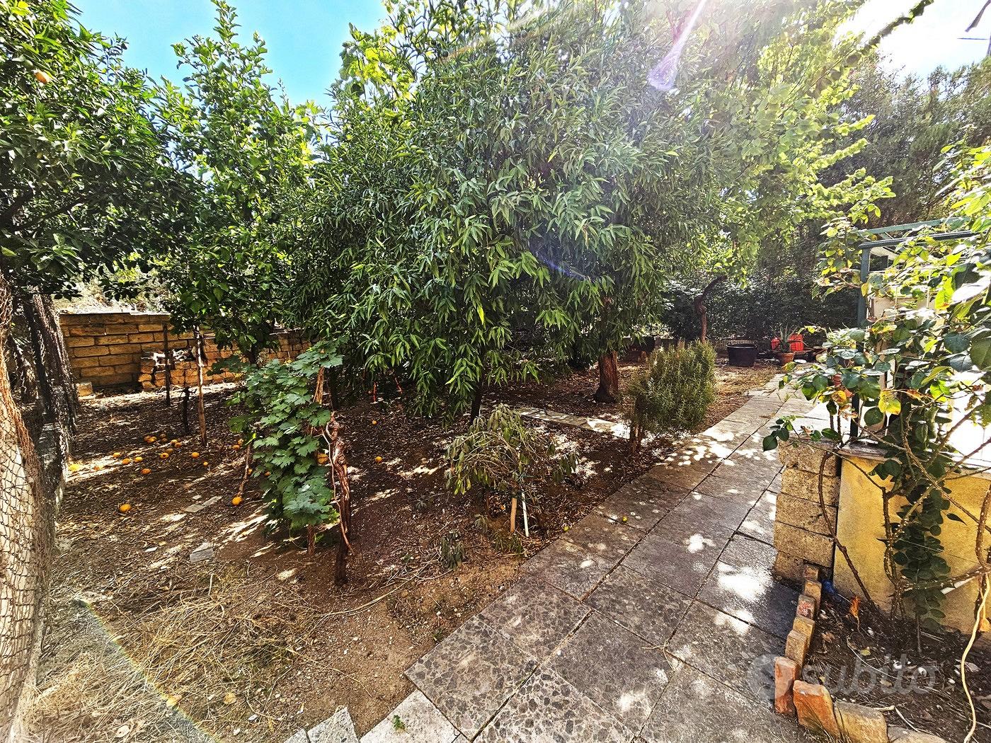 Appartamento – San Severo, Foggia - Altro