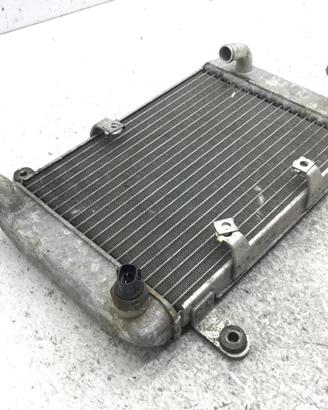SUZUKI BURGMAN AN 250 RADIATORE ACQUA LIQUIDO RAFF