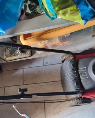 Tagliaerba elettrico con spina