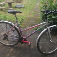 bici da passeggio uomo donna