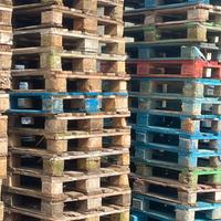 Pedane Epal usate disponibili cira 100 pezzi