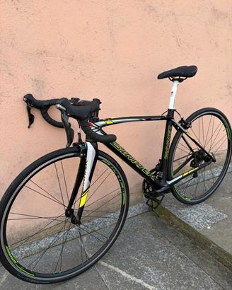 bici da corsa carbonio dynatek