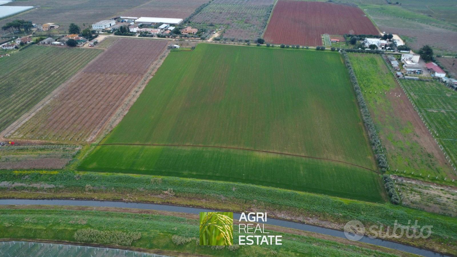 Terreno 7 HA fronte strada con pozzo | TR487 - Vista 3