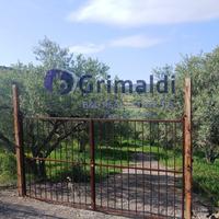 Terreno Agricolo Bagheria [TerM/3VCG]