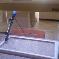 Acquario Mordern Tank Amra 50L pari al nuovo.