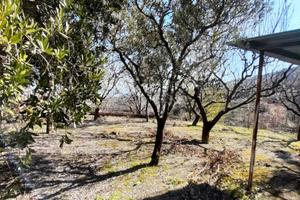 Terreno di 2500 mq a Somma Vesuviana