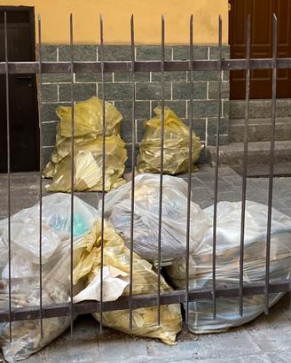 Cancellata-ringhiera e cancello