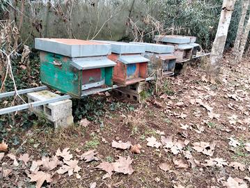 Arnie Usate in buone condizioni