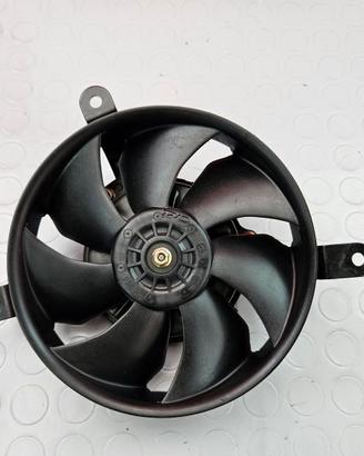 ELETTROVENTOLA VENTOLA HONDA CBR 954 RR 2002 2003