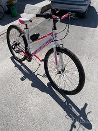 bicicletta