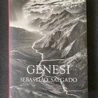 Salgado - Genesi