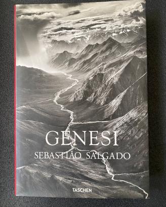 Salgado - Genesi