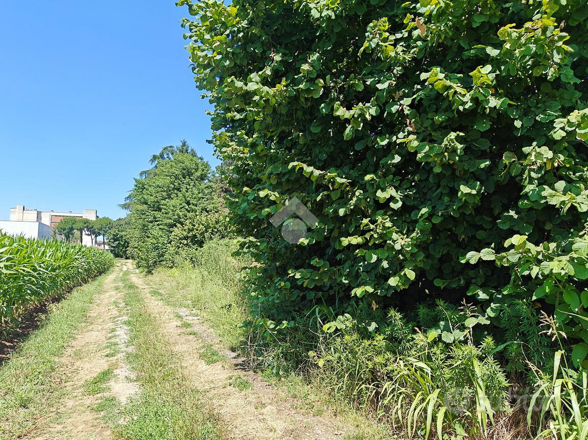 TER. AGRICOLO A CARATE BRIANZA - Altro