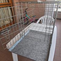 gabbia per trasporto cani media taglia e gatti