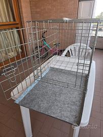 gabbia per trasporto cani media taglia e gatti