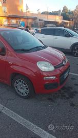 panda Gpl della casa