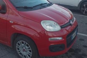 panda Gpl della casa