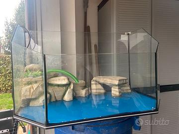 ACQUARIO PER TARTARUGHE