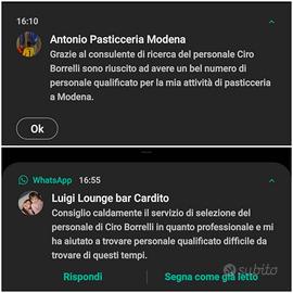 Direttoe restaurant store manager pizzeria