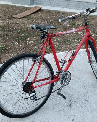 MTB DA UOMO da 26