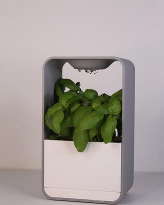 Vaso Cloud (colori personalizzabili)