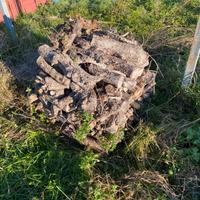 Legna di ulivo stagionato per cucinare,per ardere