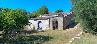 Terreno agricolo con rudere ricostruibile Localit
