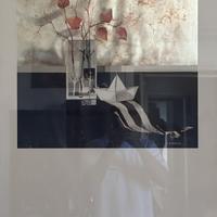 Opera d’arte renato varese