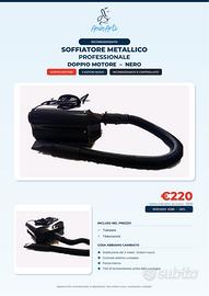 Soffiatore metallico professionale doppio motore