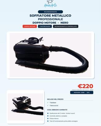 Soffiatore metallico professionale doppio motore