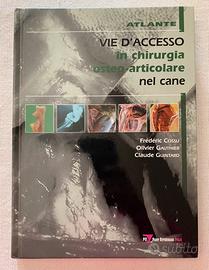 ATLANTE VIE D’ACCESSO IN CHIRURGIA OSTEO-ARTICOLAR