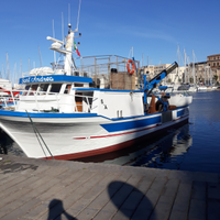 Vendita Peschereccio a circuizione