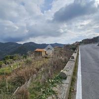 TER. RESIDENZIALE A CERIANA