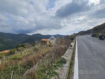 TER. RESIDENZIALE A CERIANA