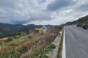 TER. RESIDENZIALE A CERIANA