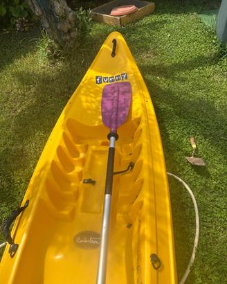 Kayak